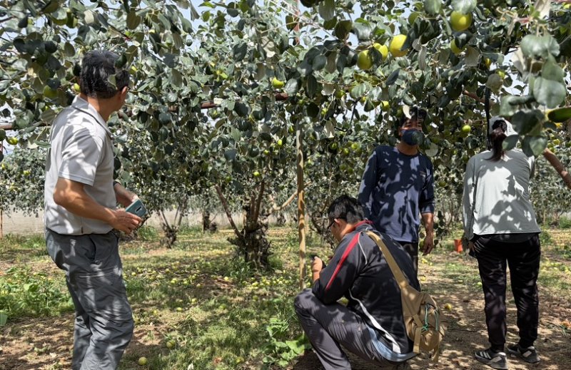 2-3月霪雨致災 棗農損救助3/18起受理