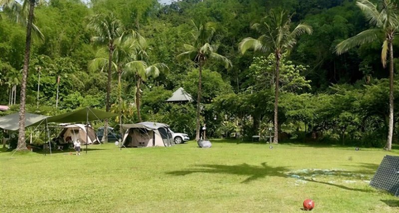 高雄合法露營場全國最多！觀光局推「春遊高雄野營三部曲」：賞花、泡湯、追螢一次滿足！