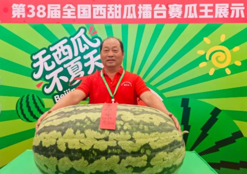 北京大興西瓜節圓滿落幕  79.75公斤巨瓜稱王