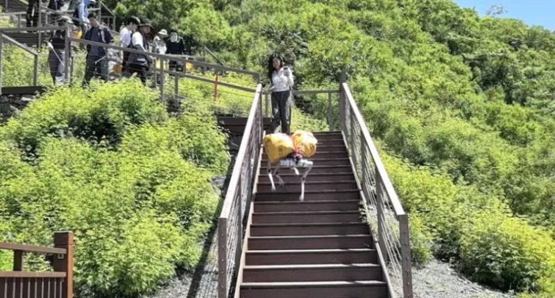 機器狗化身「鋼鐵清潔工」  助力周口店山區垃圾清運