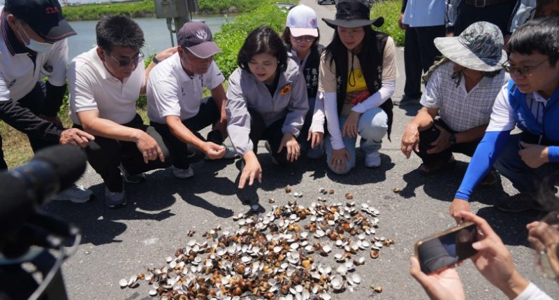 豪雨接高溫釀農漁損失  張麗善籲中央儘速啟動救助機制