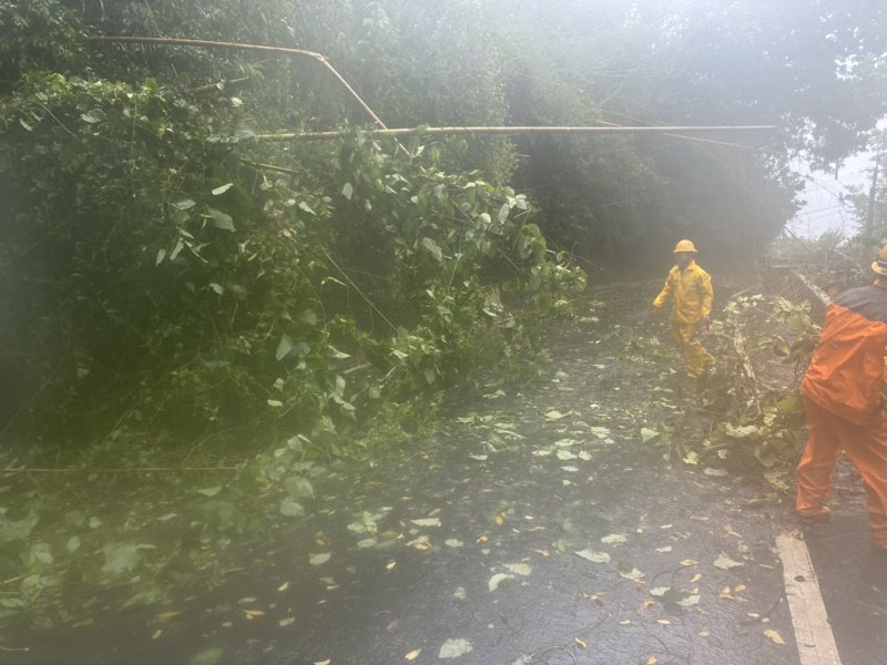 台電冒雨挺進全力搶修中 強颱巴威狂襲嘉義山區電力受創