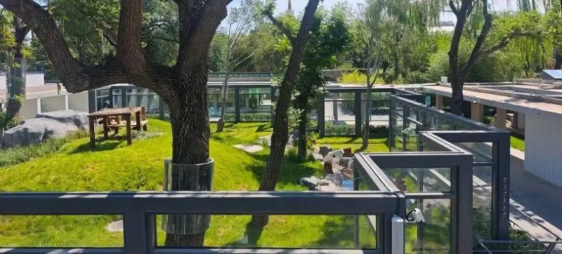 北京動物園大熊貓新館啟用　五隻大熊貓入住星級生態新家