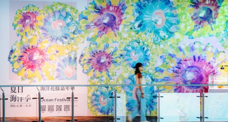 屏東海生館夜間點燈倒數、鯊寶人氣夯！屏東住宿再享門票優惠