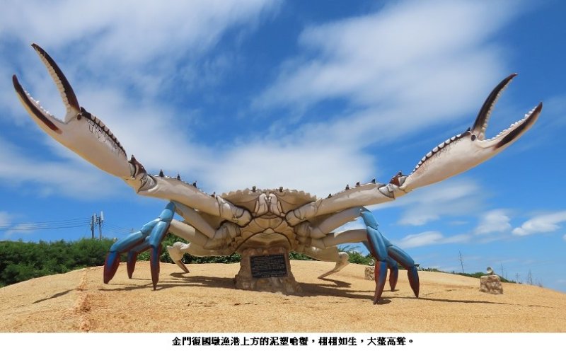 金門復國墩的「嗆蟹」真的有夠嗆