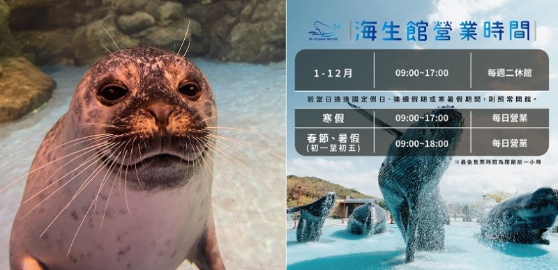屏東海生館9月起調整營業時間  海豹夏綠蒂迎來「換毛期」
