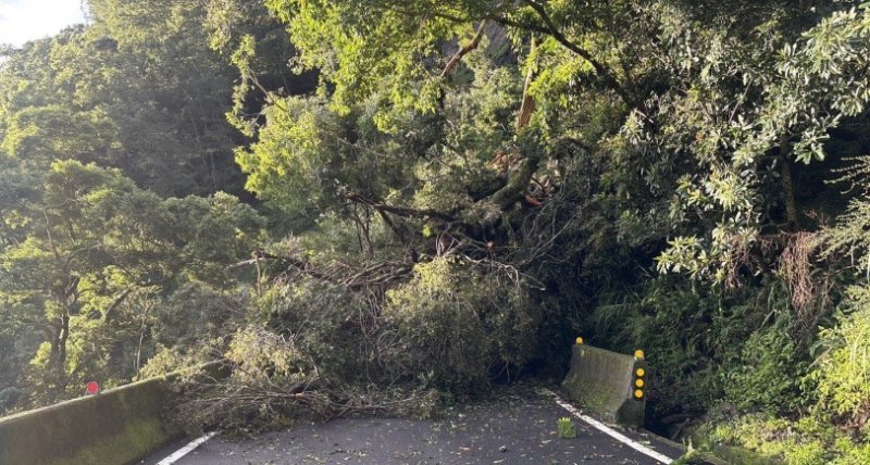 梅山口至向陽路段因禮觀路段路樹倒塌無法通行  預計今午5時搶通