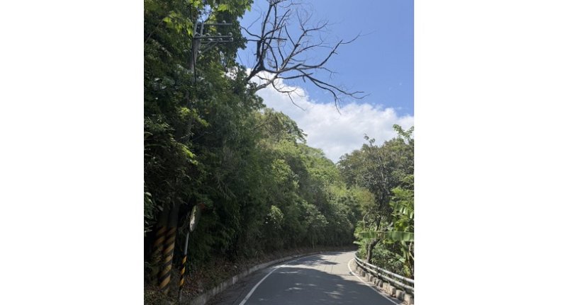台20線桃源路段進行道路上邊坡枯木移除作業  9/17實施雙向交管