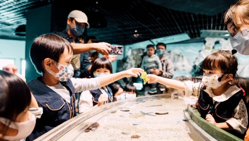 國慶連假親子旅遊首選！屏東海生館「夜宿-迷你解說員親子營」今年最後兩場，雙十優惠折1010元