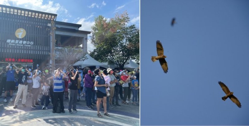 在山那邊賞鷹！國慶連假賞鷹正當時 近距離感受群鷹飛過天邊的震撼