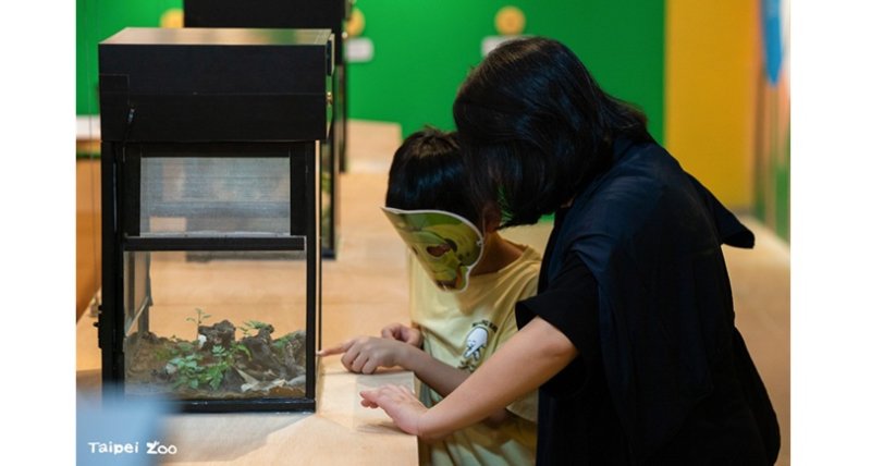 動物園遷園40周年 昆蟲館「蛻變」市集10/17、18登場