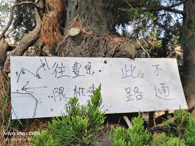 豐和「醴、禮」右邊部件不同